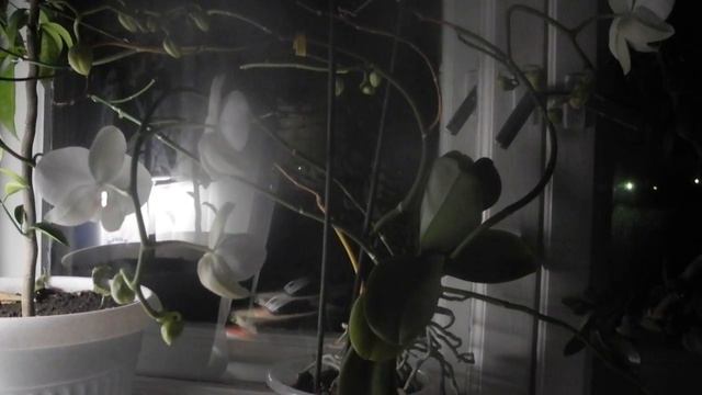 Земля стонала... смотреть онлайн