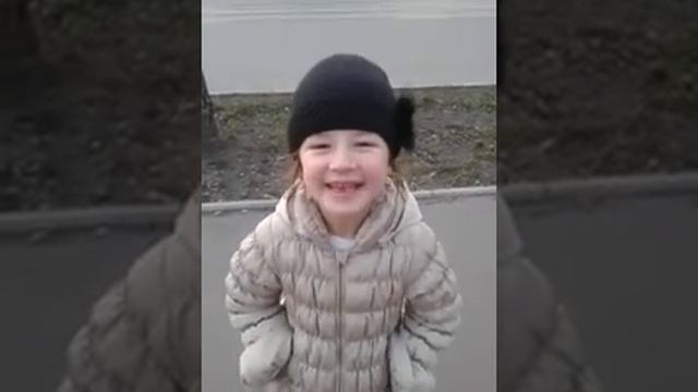 Собачки няшные) смотреть онлайн