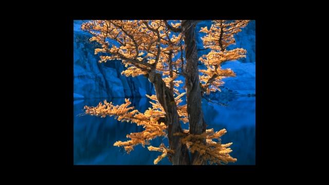 Shoot For The Light - Improve Your Compositions