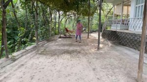 Узбекистан!Деревенская жизнь в горах.  Собираем миндаль ! Один день в ГОРНОМ КИШЛАКЕ ! Andijan