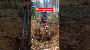 КАК ВЫКОРЧЕВАТЬ КОРЕНЬ НА УЧАСТКЕ #дом #сад #дача #строительство #экскаватор #jcb #kubota #дренаж