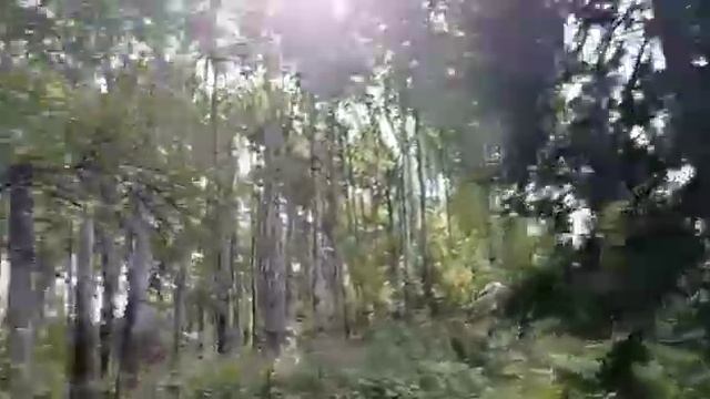 Салаир!!!! смотреть онлайн