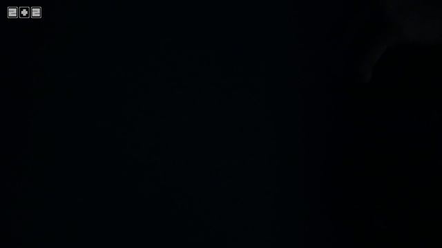 Квест перформанс Падший