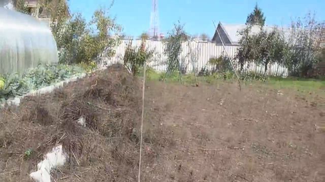 КАК СДЕЛАТЬ ТЁПЛЫЕ ГРЯДКИ под КАРТОФЕЛЬ. смотреть онлайн