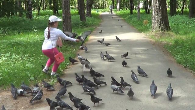 Мой мир детства и юности. Настена и голуби смотреть онлайн