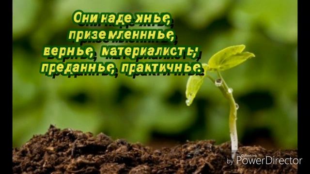 Какая у тебя стихия по знакам зодиака? смотреть онлайн