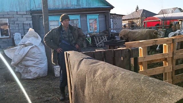 мамаша счастливых щенков алабая смотреть онлайн