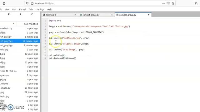 Convert Image To Grayscale (OpenCV & Python) смотреть онлайн