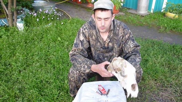 Как не стрелять медведя с ТОЗки два