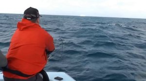 Ловля тунца в Северной Каролине.