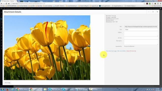 WordPress Tutorial - Media Tab смотреть онлайн
