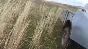 Произведение искусства. Местного Кулибина.