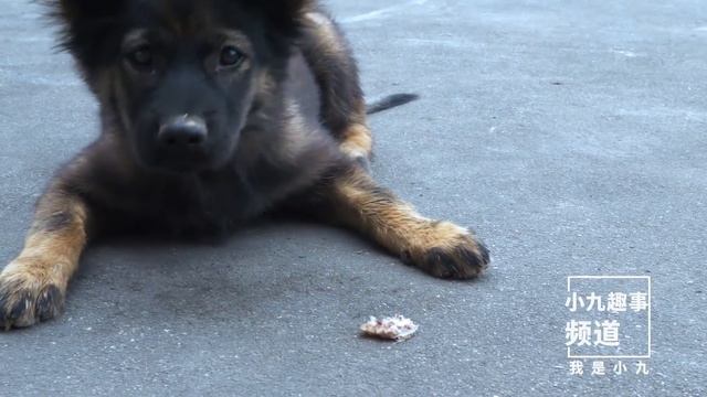 媳婦帶孩子去摘紅薯藤，煮一鍋鴨湯麵，家人吃得津津有味 | Cook A Pot Of Duck Soup Noodles, The Family Eat With Relish