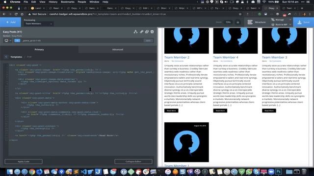 How to show custom fields in Oxygen Easy Posts Template PHP смотреть онлайн