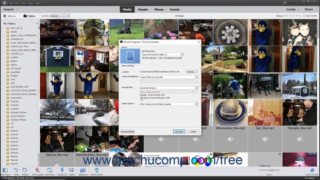 Photoshop Elements 2020 Tutorial Importing Photos from Cameras or Card Readers Adobe Training смотреть онлайн