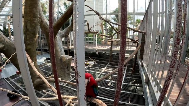 [4K] We went to Osan Bird Park, Мы поехали в Птичий парк Осан Сити смотреть онлайн