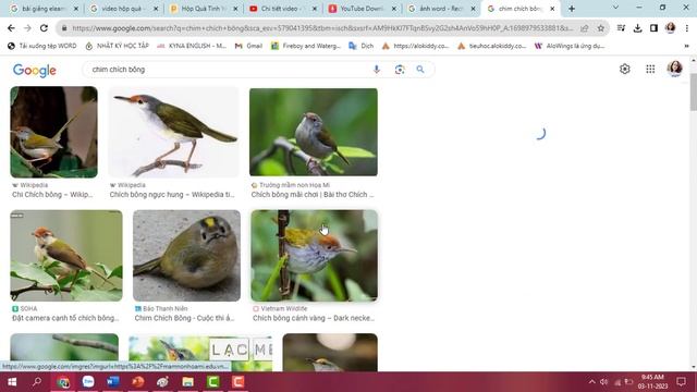 Chèn hình ảnh từ Internet vào văn bản смотреть онлайн