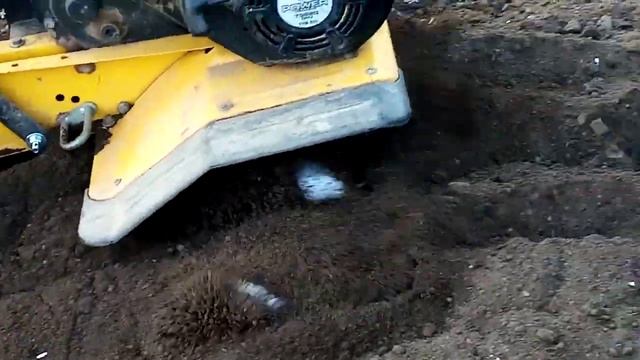 (18+)Спорт, приехал аремлесьлин смотреть онлайн