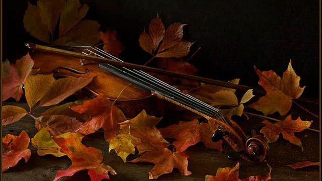 Skripka  ...........art 5.