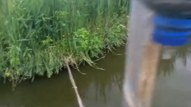 Помощь Белому амуру смотреть онлайн