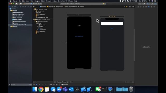 How To Pass Data Between View Controllers in Swift (Xcode 11) | iOS for Beginners смотреть онлайн