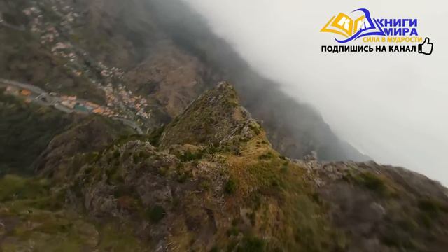 Как Использовать Силу Движущую Всё Живое в Этом Мире?! l НИКОШО и Роберт Адамс смотреть онлайн