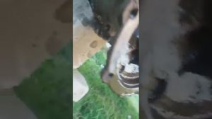 Замена полуоси задний мост военный