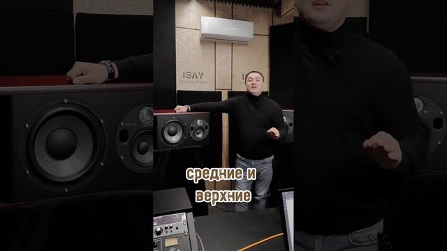 Focal Trio11 Be смотреть онлайн