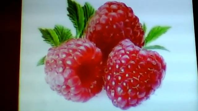 Клип Ягода малинка от Хабиба леди баг и супер кот (читать описаниэ обизательно) ставь лайк ! смотреть онлайн