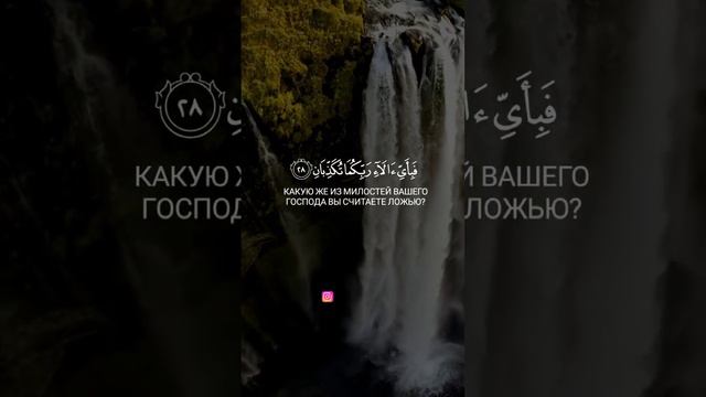Сура 55 Ар-Рахман 26-29 Чтец Ахмад Аль-Аджми #коран #ислам #истина #сунна #сура #религия #пророк смотреть онлайн