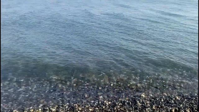 Решила купить квартиру в Сочи. Пошла на ... Авито!!! смотреть онлайн