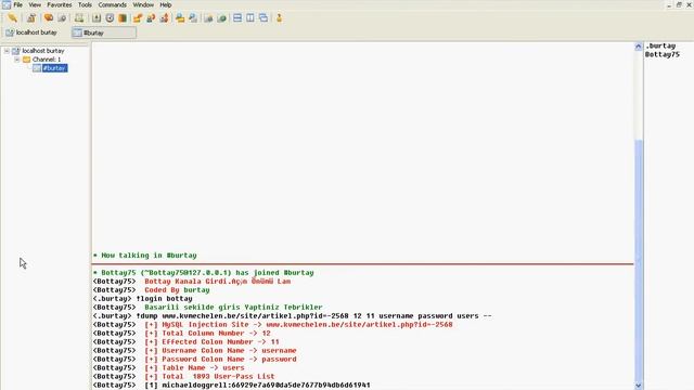 Bottay V2.1. MySQL Injection Dumper смотреть онлайн