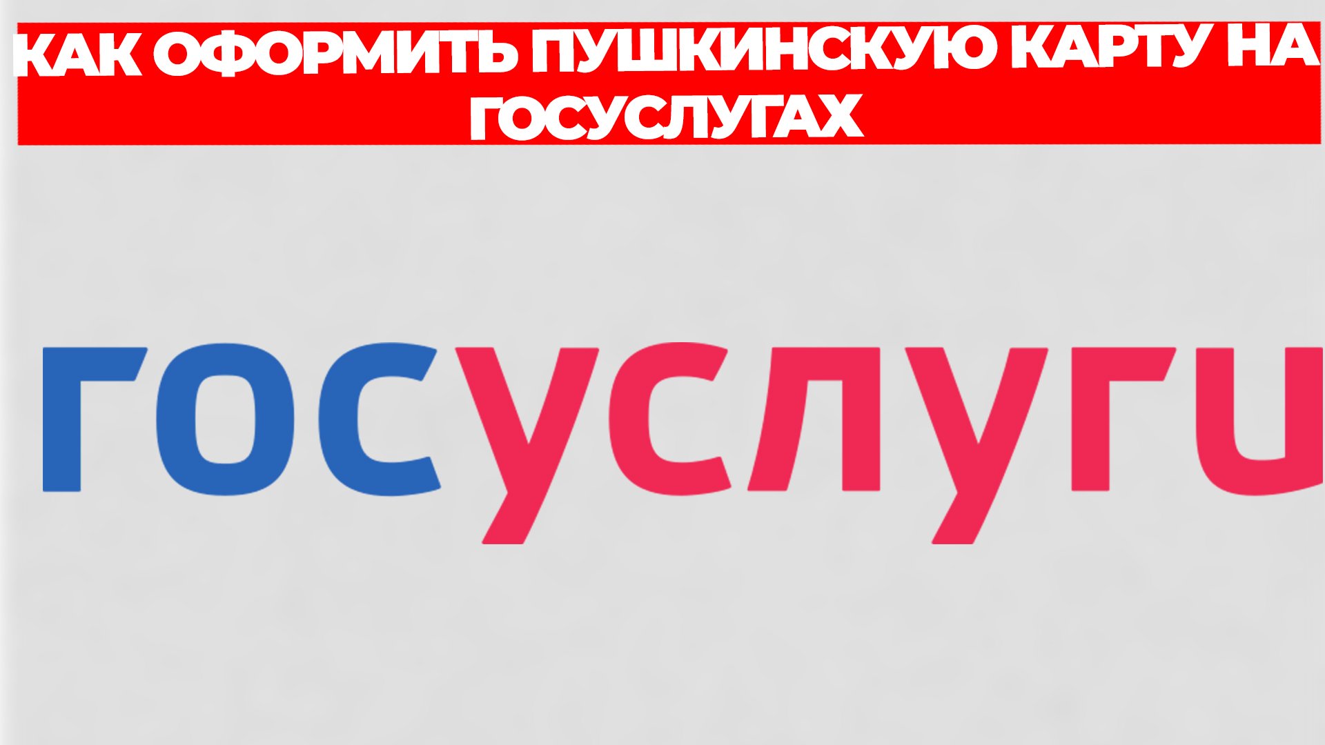 Всезнающий Енот