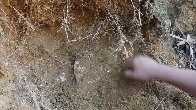 Miners field exploration to dig volcanic gold to sell money to support family смотреть онлайн