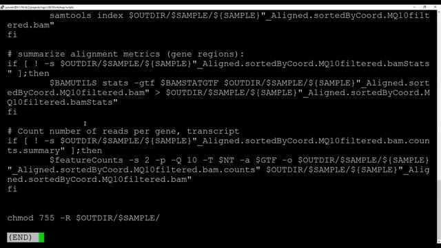 B4B: Module 2 - RNAseq demo смотреть онлайн