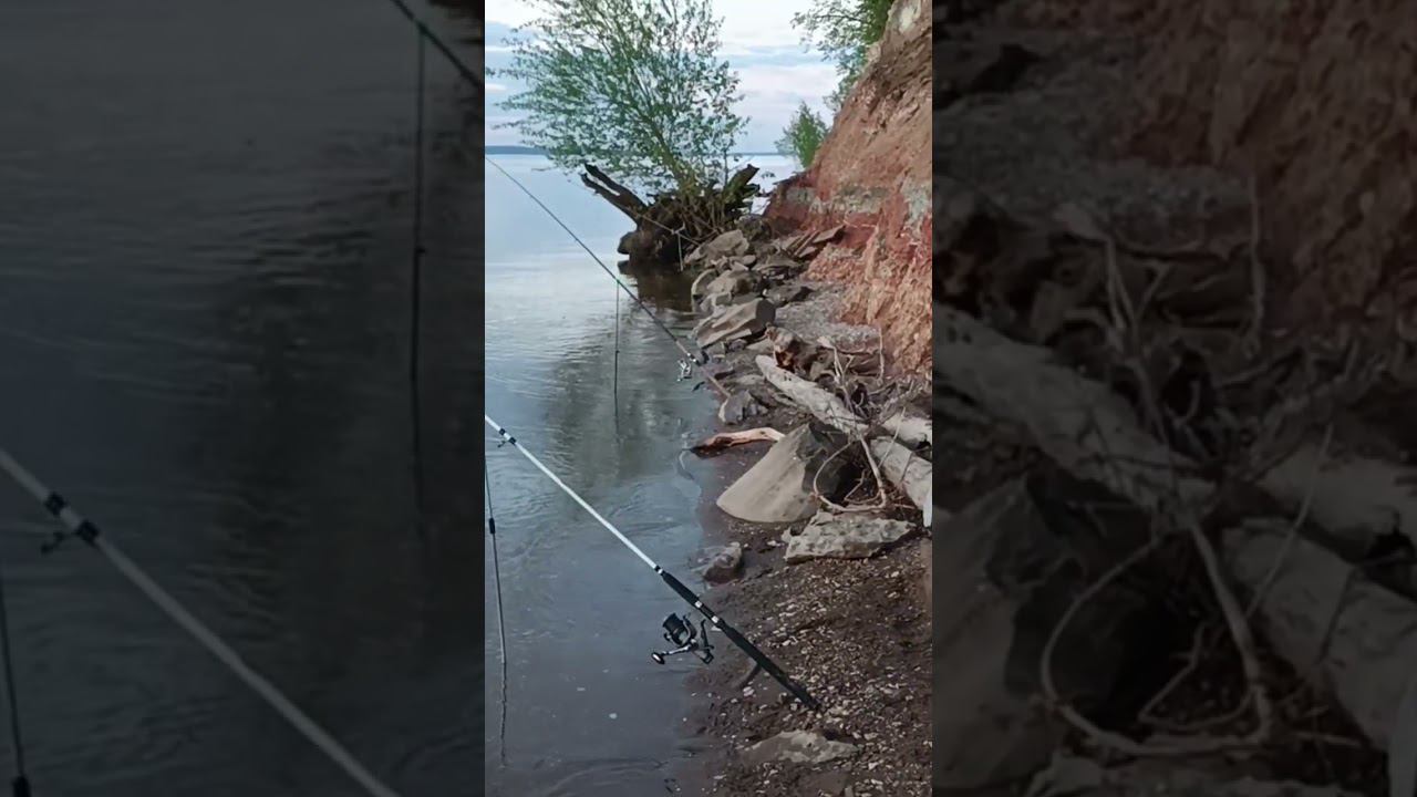 Хорошо на берегу Волги.11 мая 2023 г. смотреть онлайн