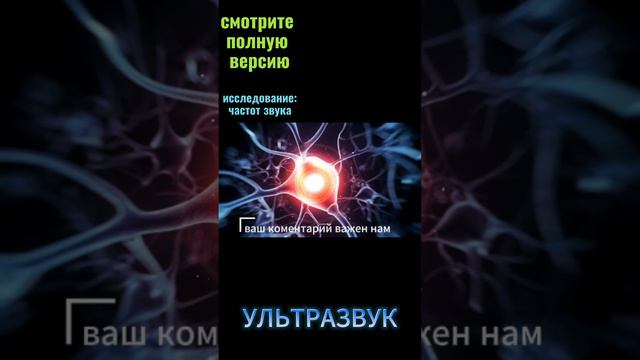 УЛЬТРАЗВУК