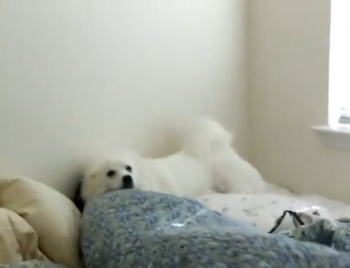 Идеальный будильник смотреть онлайн