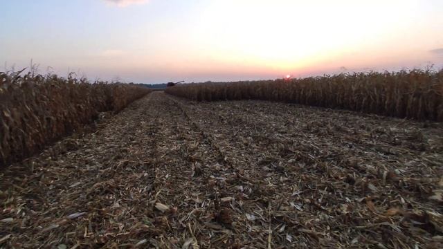 Кукурудза Monsanto за 130ц/га!!! Жатка OLIMAC DRAGO