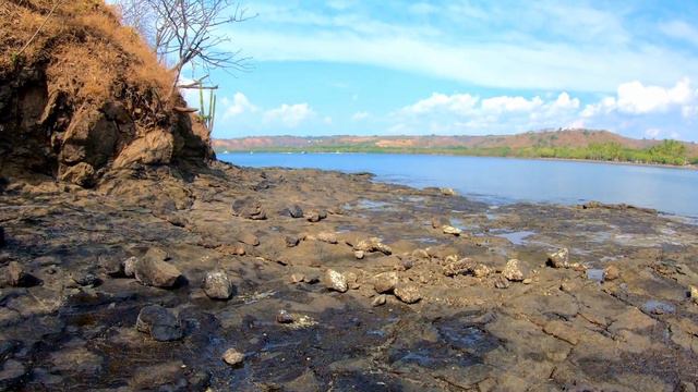 [4K] Exploring the Beautiful PLAYA PANAMA in Guanacaste #costarica #walking #ambient смотреть онлайн