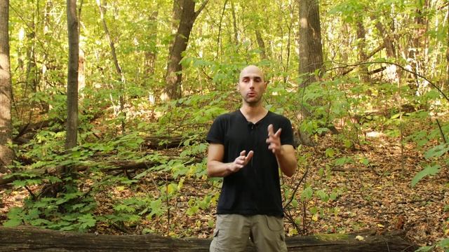 Покупка на Алиэкспресс популярного налобного фонаря sofirn sp40. смотреть онлайн