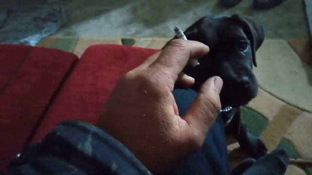 Ночёвка на складе, тепло лучше чем в машине. смотреть онлайн