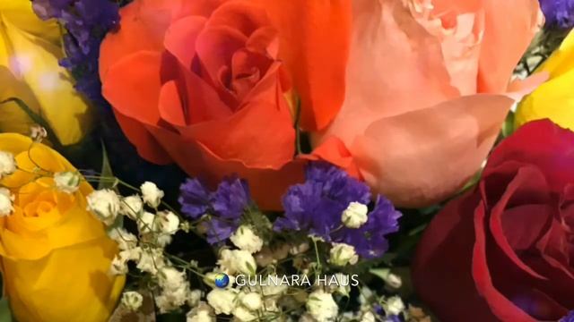 С Днём Рождения, Томирис! смотреть онлайн