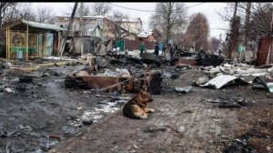 Что было в Буче, Киевской области.