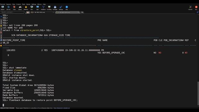 Oracle Database Downgrade from 19c to 12c using flashback database option смотреть онлайн