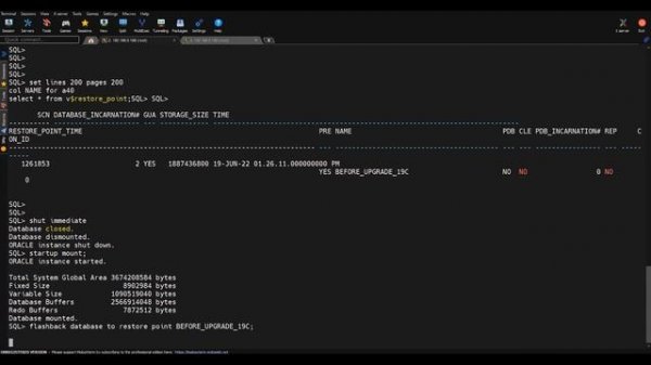 Oracle Database Downgrade from 19c to 12c using flashback database option
