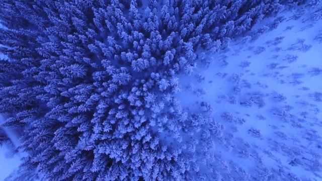 Жена любила ,но не мужа. Увлекательная история /История из жизни/Любовные истории/Любовь/Рассказ смотреть онлайн