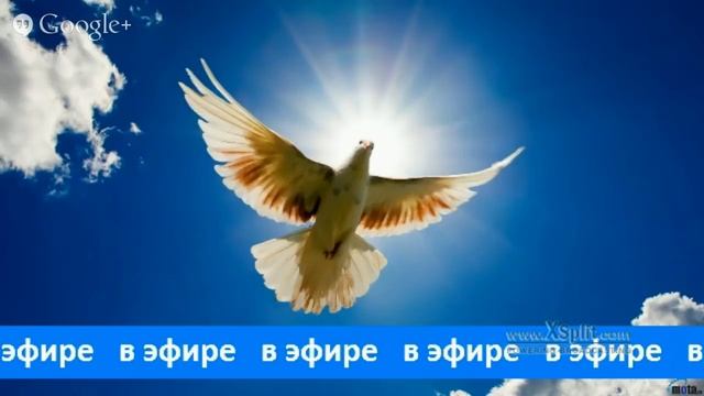 Повтор от 25.01 (11.45 мск. времени). Молитва за мир смотреть онлайн