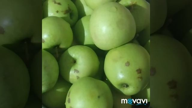 Учебник по Творческому Самовыражению