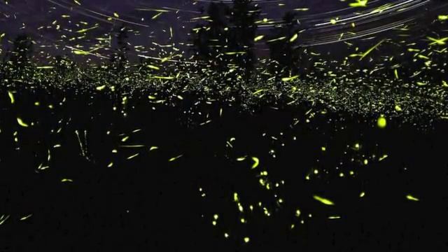 Lévon Minassian & Armand Amar-Ar intch lav er (Qu'est-ce qu'll faisant bon vivre) смотреть онлайн